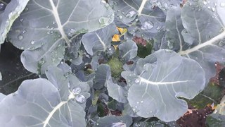 2018_0606_18_26_34_045.jpg