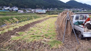 2018_1016_15_58_57_706.jpg